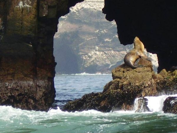 ballestas.jpg